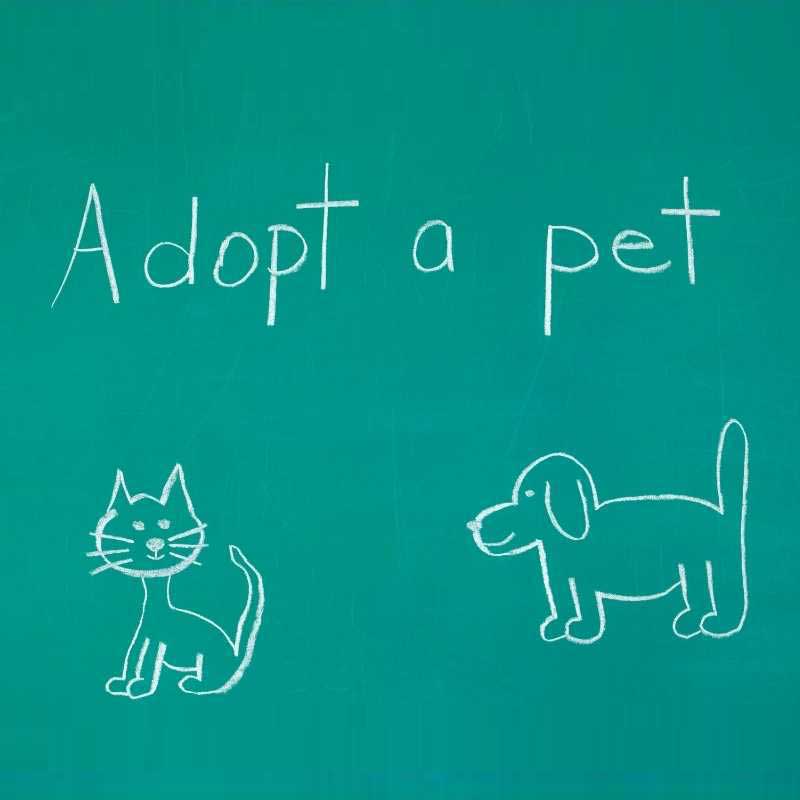 Adoptable Pets and Animal Control