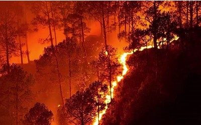 White Pine Wildfire Readiness Community Meeting