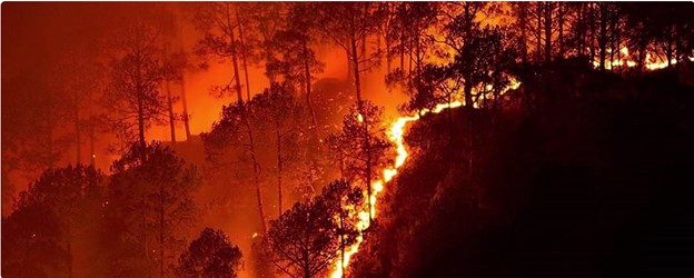 wildfire picture wildfire readiness in Ely, NV