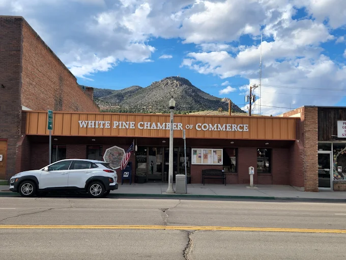 Assistance for businesses in Ely, NV