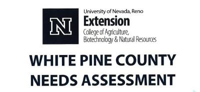 White Pine County Needs Assessment