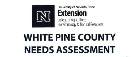 White Pine County Needs Assessment