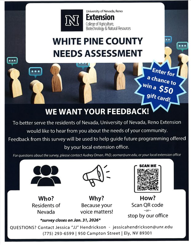 White Pine County Needs Assessment