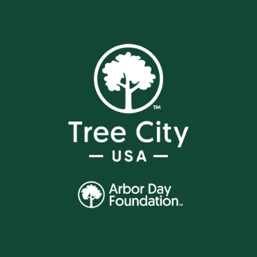 Tree City USA  City of Ely