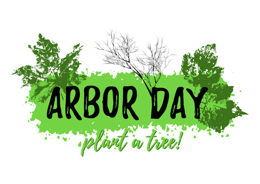 Arbor Day in Ely, NV