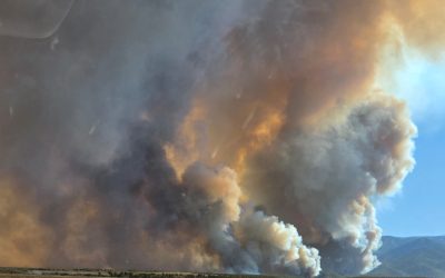 Statement from Mayor Robertson regarding the Ward Fire